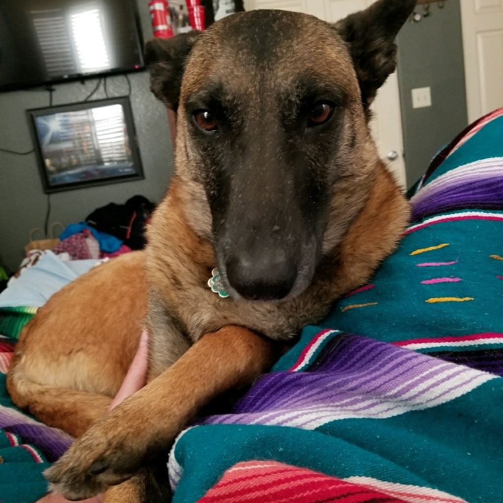 Meet your Posher, Flwn